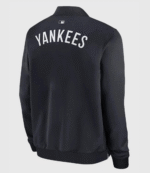 KAWS x MLB Yankees Nike Dugout Bomber Jacket 2