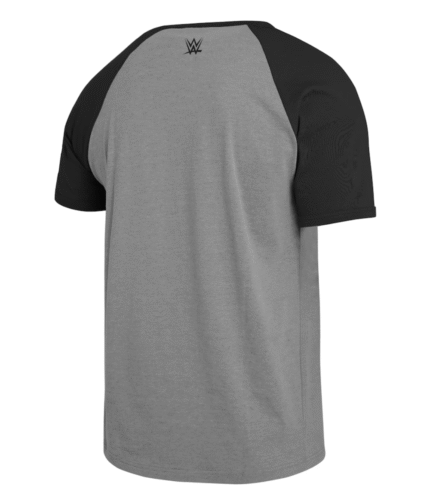 SummerSlam 2026 Darius Rucker Fanatics Raglan T-Shirt 3