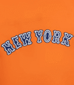 2026 Aimé Leon Dore New York Mets GORE-TEX Jacket 3