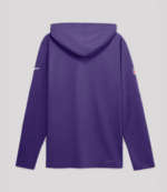 2026 Minnesota Vikings Sideline Long Sleeve Hooded T-Shirt 3