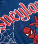 Spiderman Disneyland Hoodie 5